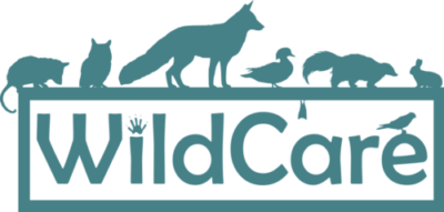 WildCare Inc.